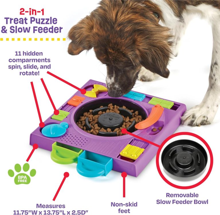 3 Best Dog Puzzle Feeders in 2025